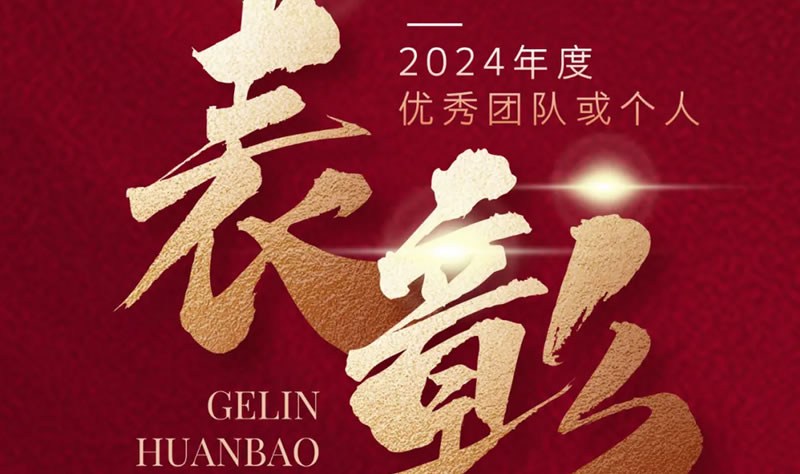 閣林先鋒 榜樣力量 | 2024年度優(yōu)秀團(tuán)隊(duì)或個人表彰名單