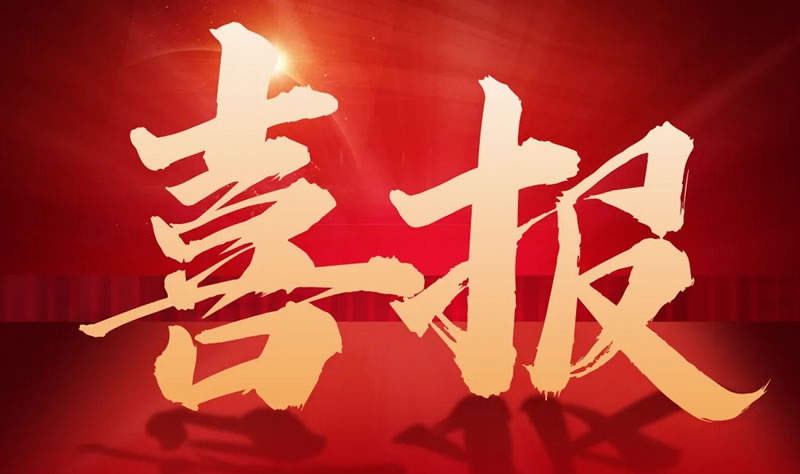 喜報 | 閣林環保入選2024年重慶市中小型硬科技企業幫扶庫