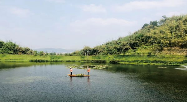 智慧城生態保育區生態環境保護工程EPC工程