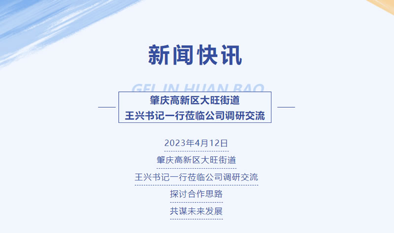 新聞快訊 | 肇慶高新區大旺街道王興書記一行蒞臨公司調研交流