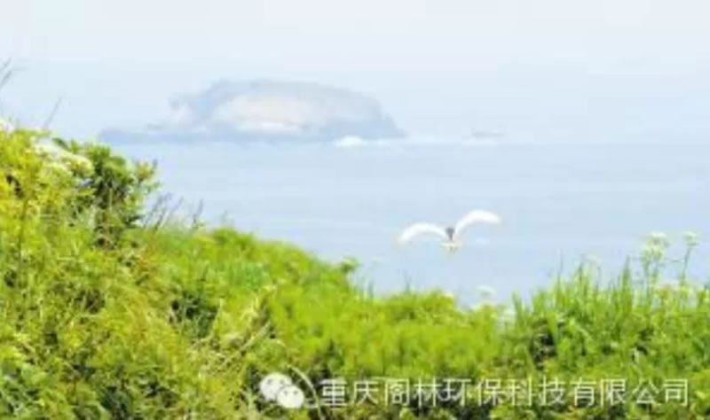 環境修復投資需超十萬億