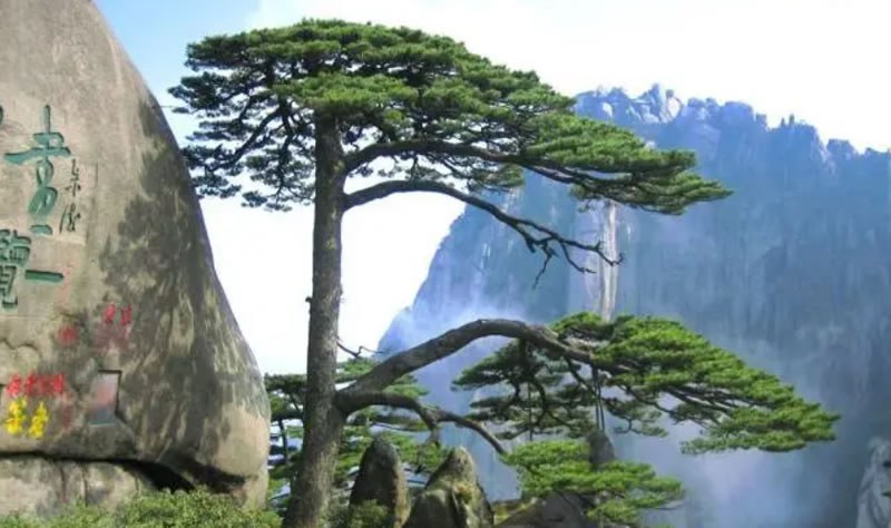 【地方動態】安徽試點建設“海綿城市”